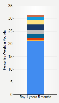 Weight chart for boys 1 year 5 months of age