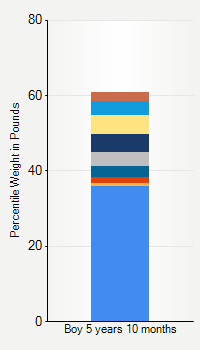 Weight chart for boys 5 years 10 months of age