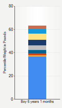 Weight chart for boys 6 years 1 month of age