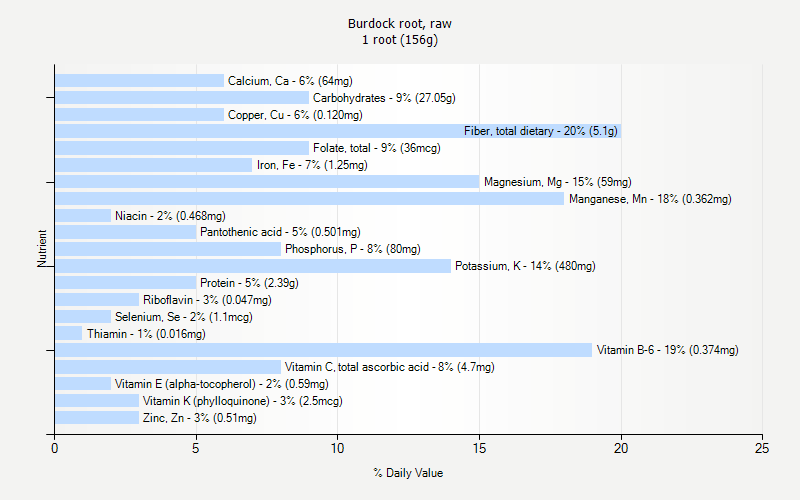 % Daily Value for Burdock root, raw 1 root (156g)