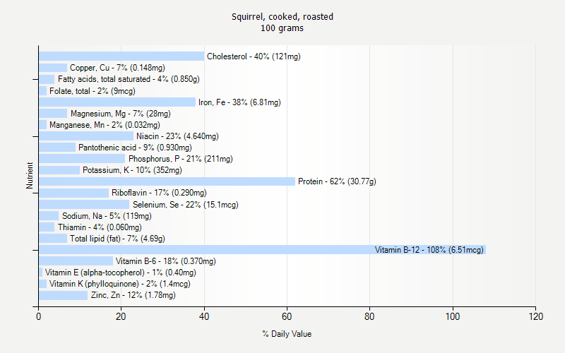 Squirrel Weight Chart